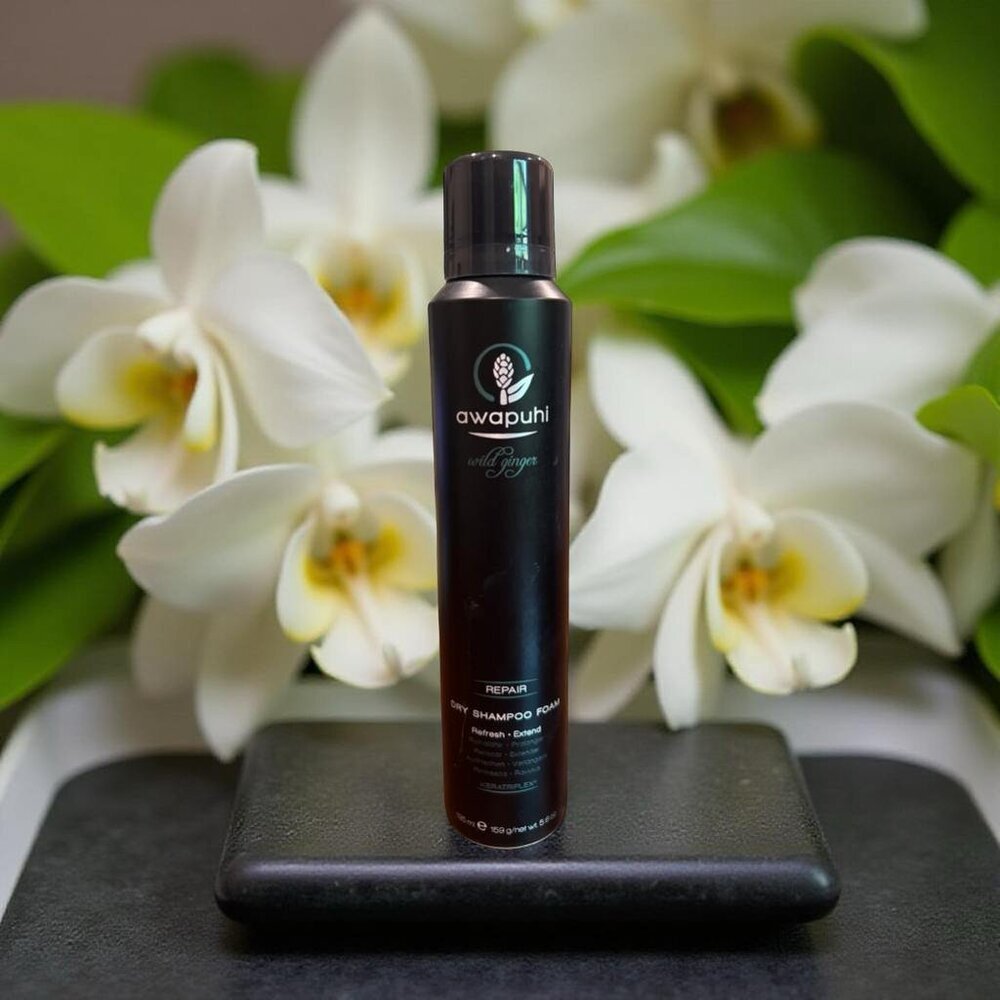 Paul Mitchell Awapuhi Wild Ginger Dry Shampoo 5.6 oz